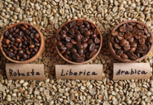 Dutch Bros Coffee Tariffs Expansion and Stock Growth: What Investors Should Know dutch -bros- coffee -tariffs- expansion