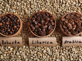 dutch -bros- coffee -tariffs- expansion