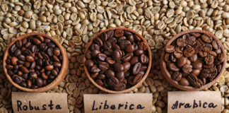 Dutch Bros Coffee Tariffs Expansion and Stock Growth: What Investors Should Know dutch -bros- coffee -tariffs- expansion