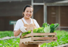 How to Create a Profitable Farm How to Create a Profitable Farm