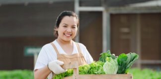 How to Create a Profitable Farm