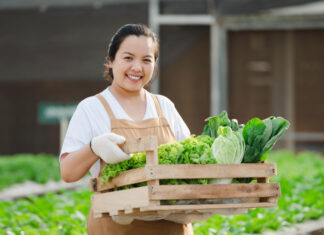 How to Create a Profitable Farm How to Create a Profitable Farm