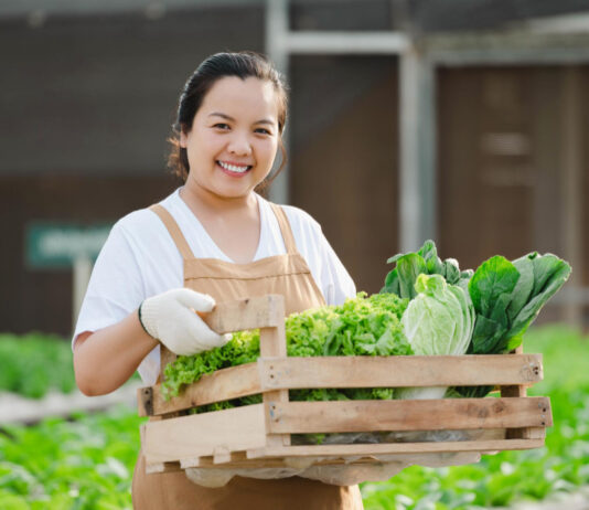 How to Create a Profitable Farm How to Create a Profitable Farm