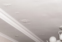 Top Tips to Prevent Attic Rain During Cold Canadian Winters Attic Rain Prevention