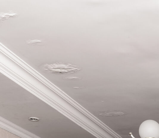 Top Tips to Prevent Attic Rain During Cold Canadian Winters Attic Rain Prevention