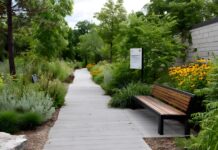 Plants for High-Traffic Commercial Areas