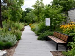 Plants for High-Traffic Commercial Areas