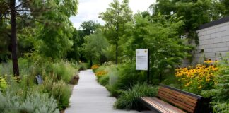 High-Traffic Commercial Areas: Which Plants Make the Right Fit Plants for High-Traffic Commercial Areas