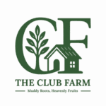 theclubfarm