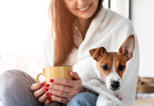 Can Dogs Have Cinnamon? Benefits, Risks, and Vet Advice for Pet Owners Can-Dogs -Have- Cinnamon