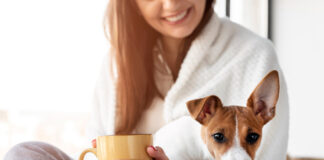 Can-Dogs -Have- Cinnamon