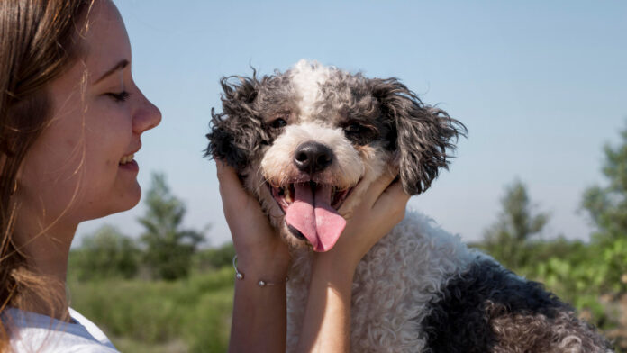 2148699649 can-dogs-have-strawberries