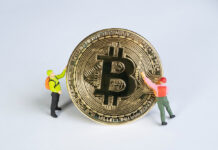 ross -ulbricht-net-worth