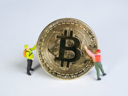 ross -ulbricht-net-worth