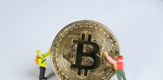 Ross Ulbricht Net Worth: Bitcoin Holdings, Legal Battles, and the Silk Road Legacy ross -ulbricht-net-worth