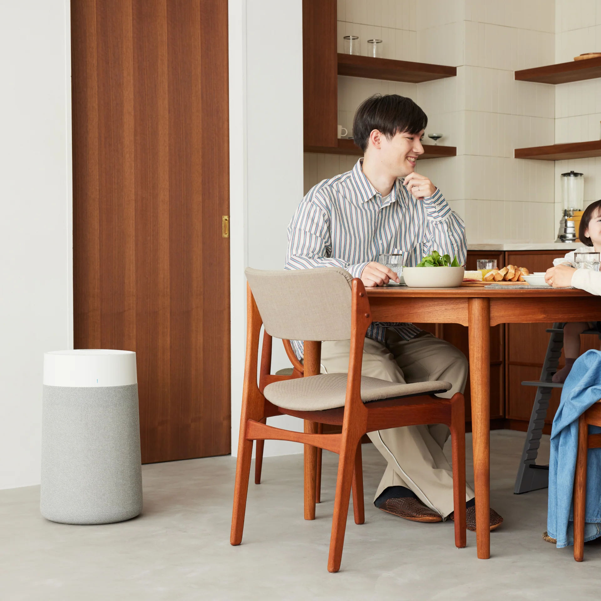 BlueAir Purifier