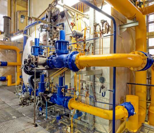 Chemical Factories for Industrial Production