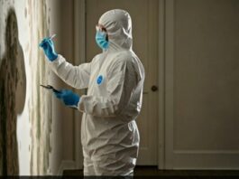 Recommended Mold Testing Services in Denver