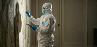 Recommended Mold Testing Services in Denver