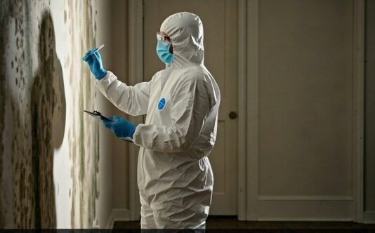 Recommended Mold Testing Services in Denver