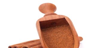 Can-Dogs -Have- Cinnamon