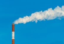 Carbon Management Consultancy for Businesses