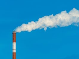 What Carbon Management Consultancy Involves and Why Businesses Are Investing in It Carbon Management Consultancy for Businesses