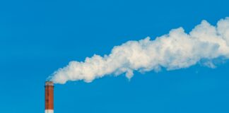 What Carbon Management Consultancy Involves and Why Businesses Are Investing in It Carbon Management Consultancy for Businesses