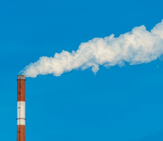 Carbon Management Consultancy for Businesses