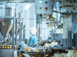 what- is- small -scale -industries