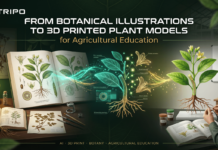 From Botanical Illustrations to 3D Printed Plant Models for Agricultural Education From Botanical Illustrations to 3D Printed Plant Models