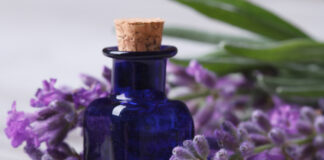 Violet glass apothecary jars