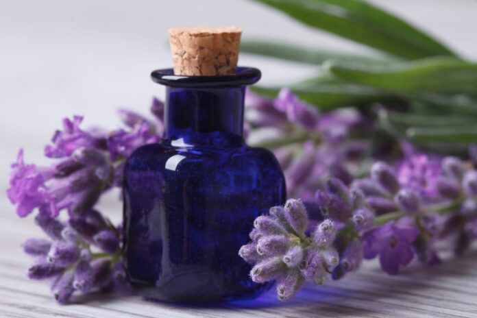 dreamstime_s_43045508 Violet glass apothecary jars