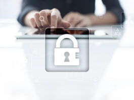 Data Privacy Basics for Small Business Owner