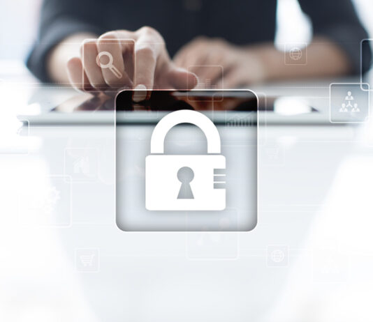 Data Privacy Basics for Small Business Owner