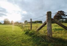 How Businesses Can Improve Site Efficiency With Practical Fencing Solutions Improve Site Efficiency With Practical Fencing solutions