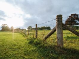Improve Site Efficiency With Practical Fencing solutions