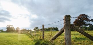 Improve Site Efficiency With Practical Fencing solutions