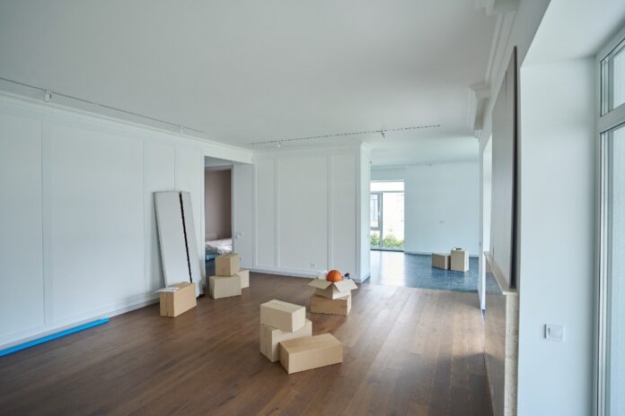 bright-empty-room-with-moving-boxes-scattered-arou-2026-03-10-03-57-14-utc Remodel or Move? How to Make the Call