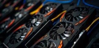 Why Is Nvidia Such a Popular Stock? Why Is NVIDIA Such a Popular Stock