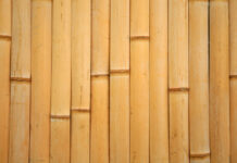 How a Grass Outsmarts Hardwood: The Science Behind Bamboo’s Surprising Strength and Fire Resistance bamboo’s tensile strength and fire resistance