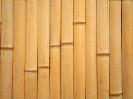 bamboo’s tensile strength and fire resistance