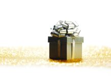 the No-Deposit Bonus Model
