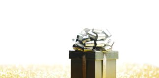 the No-Deposit Bonus Model