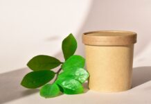 Paper Tubes vs. Pouches: Packaging Format