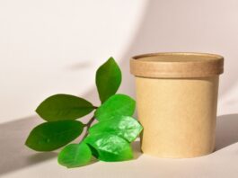 Paper Tubes vs. Pouches: Packaging Format