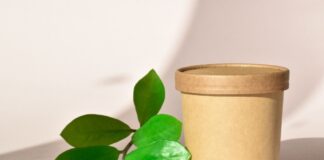 Paper Tubes vs. Pouches: Which Packaging Format Actually Builds a Brand Paper Tubes vs. Pouches: Packaging Format