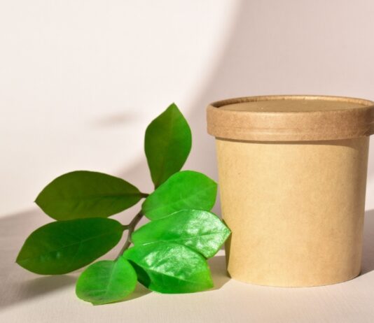 Paper Tubes vs. Pouches: Packaging Format