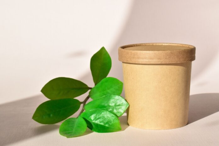 minimalist-brown-container-and-green-leaves-still-2026-01-07-00-12-45-utc Paper Tubes vs. Pouches: Packaging Format