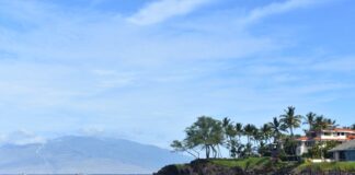 Know Before Buying a Home in Maui